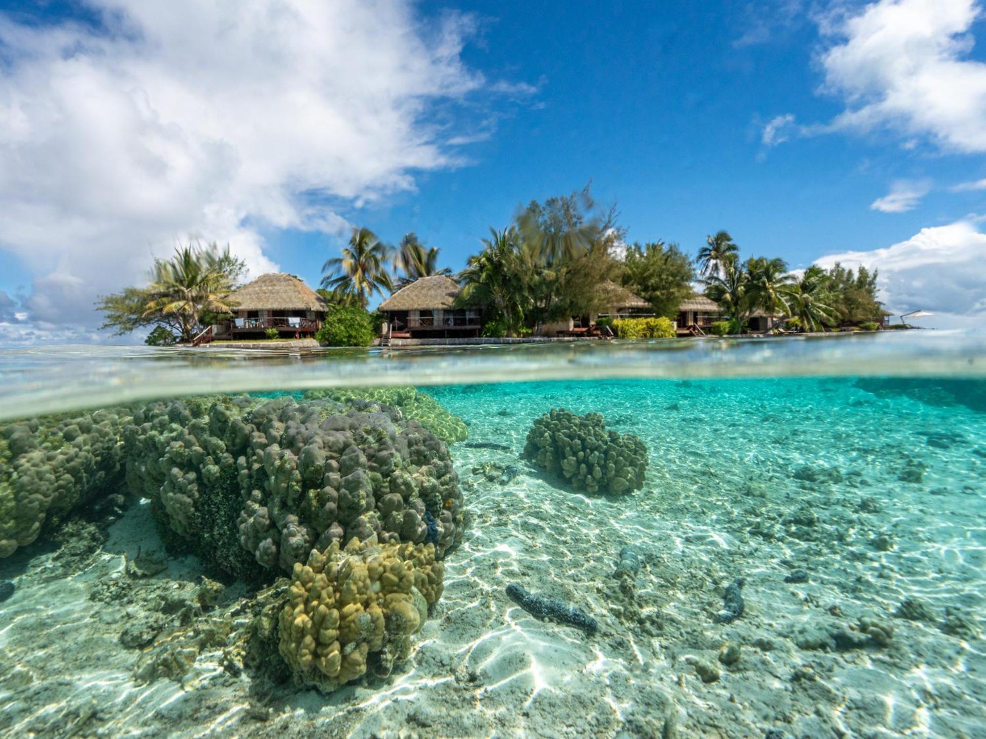 Hotel Eden Private Island Tahaa Patio  Esterno foto