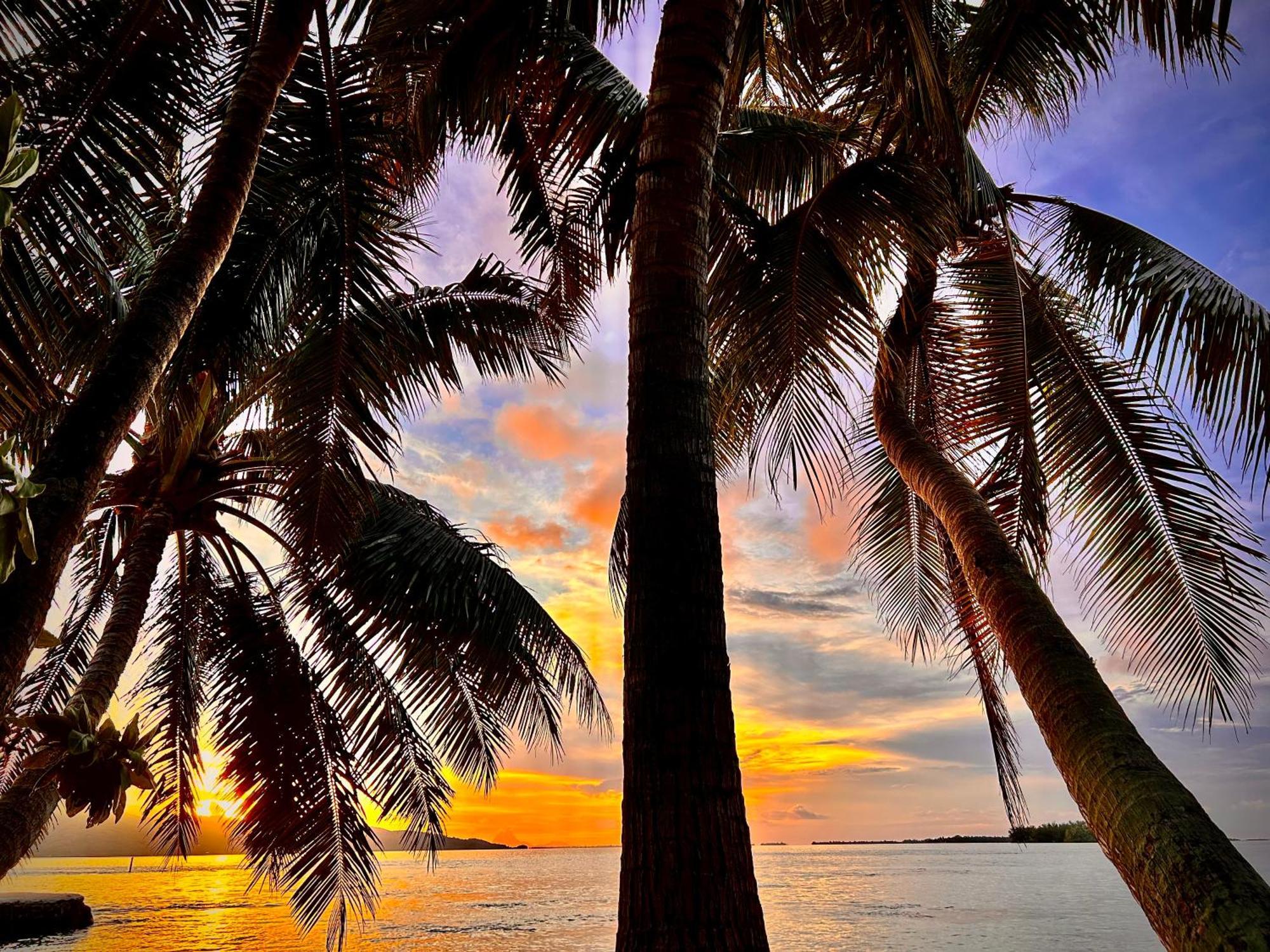 Hotel Eden Private Island Tahaa Patio  Esterno foto
